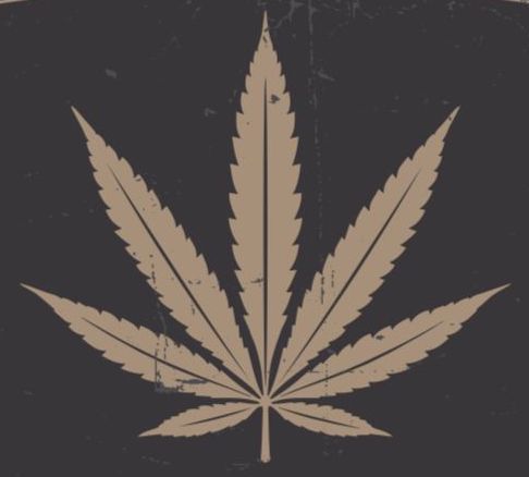 Koh Samui Cannabis Leaf